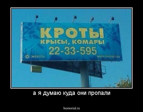 а я думаю куда они пропали