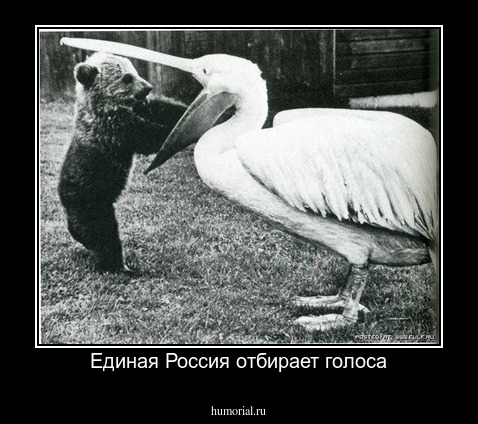 Единая Россия отбирает голоса