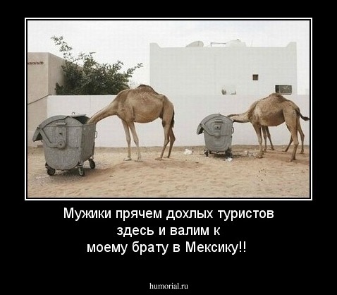 Мужики прячем дохлых туристов здесь и валим к моему брату в Мексику!!