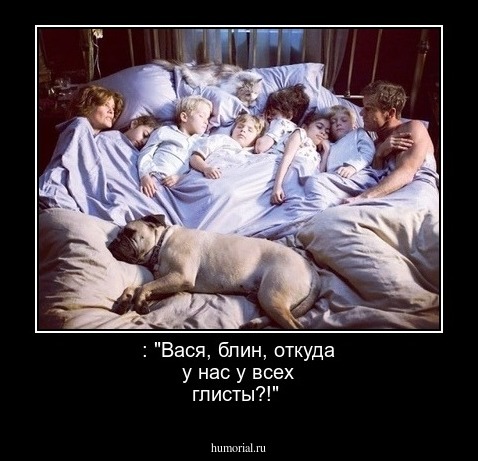 : "Вася, блин, откуда у нас у всех глисты?!"