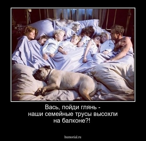 Вась, пойди глянь - наши семейные трусы высохли на балконе?!