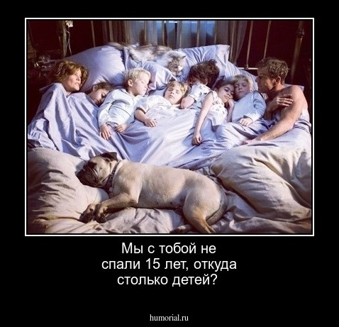 Мы с тобой не спали 15 лет, откуда столько детей?