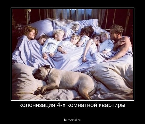 колонизация 4-х комнатной квартиры