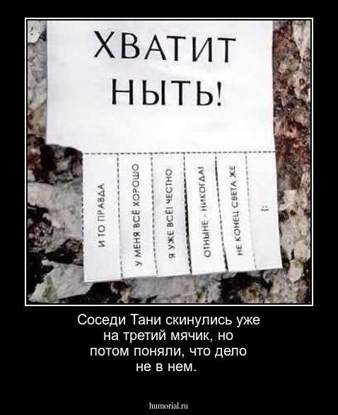Соседи Тани скинулись уже на третий мячик, но потом поняли, что дело не в нем.