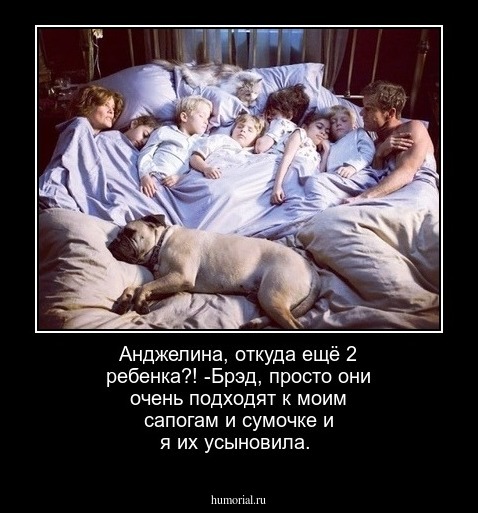 Анджелина, откуда ещё 2 ребенка?!
 -Брэд, просто они очень подходят к моим сапогам и сумочке и я их усыновила.