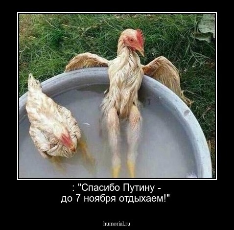 : "Спасибо Путину - до 7 ноября отдыхаем!"