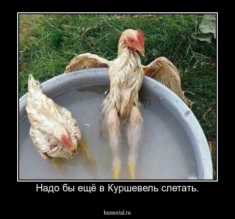 Надо бы ещё в Куршевель слетать.