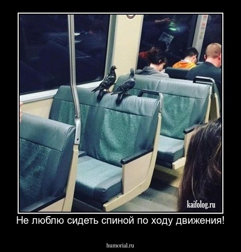 Не люблю сидеть спиной по ходу движения!