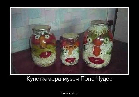 Кунсткамера музея Поле Чудес
