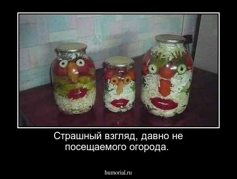 Страшный взгляд, давно не посещаемого огорода.