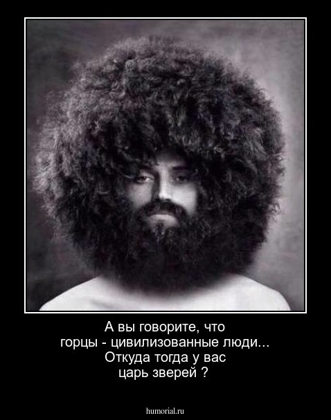 А вы говорите, что горцы - цивилизованные люди... Откуда тогда у вас царь зверей ?