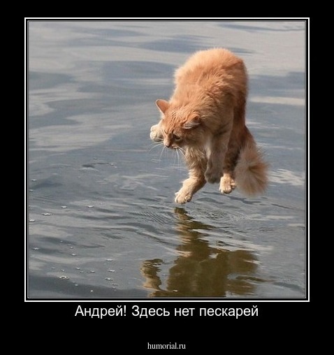 Андрей! Здесь нет пескарей