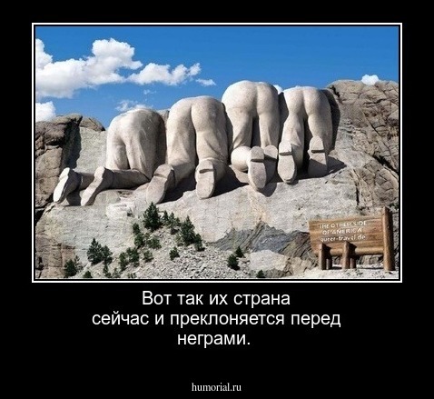 Вот так их страна сейчас и преклоняется перед неграми.
