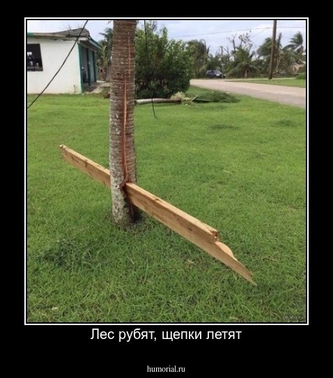 Лес рубят, щепки летят