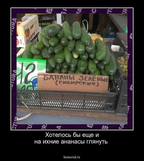 Хотелось бы еще и на ихние ананасы глянуть
