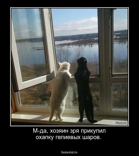 М-да, хозяин зря прикупил охапку гелиевых шаров. 