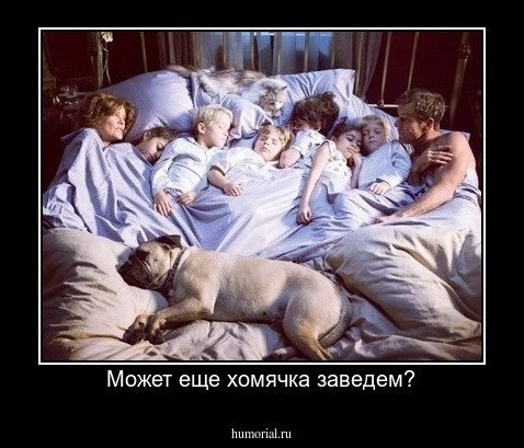 Может еще хомячка заведем?