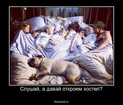 Слушай, а давай откроем хостел?
