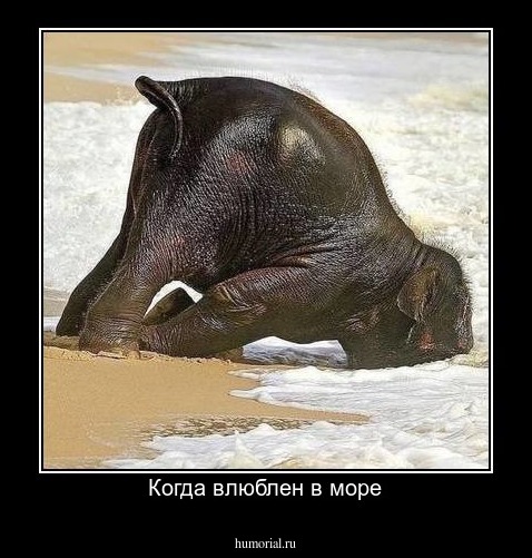 Когда влюблен в море