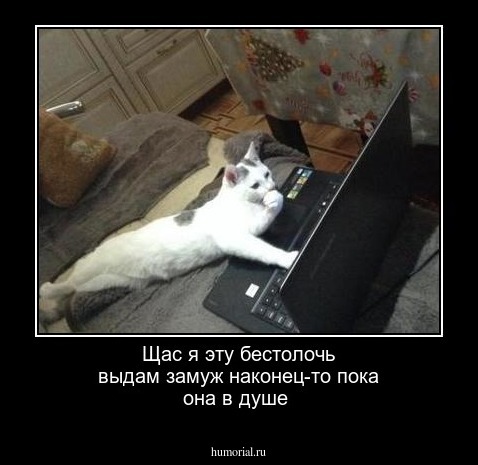 Щас я эту бестолочь выдам замуж наконец-то пока она в душе