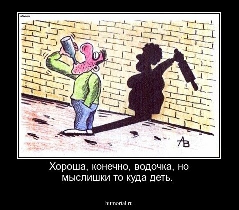 Хороша, конечно, водочка, но мыслишки то куда деть.