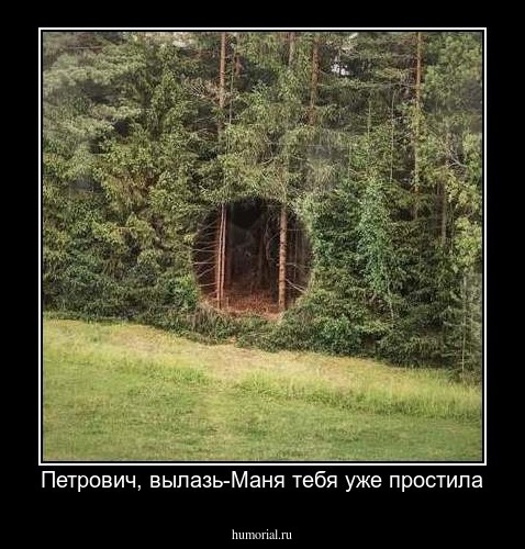 Петрович, вылазь-Маня тебя уже простила