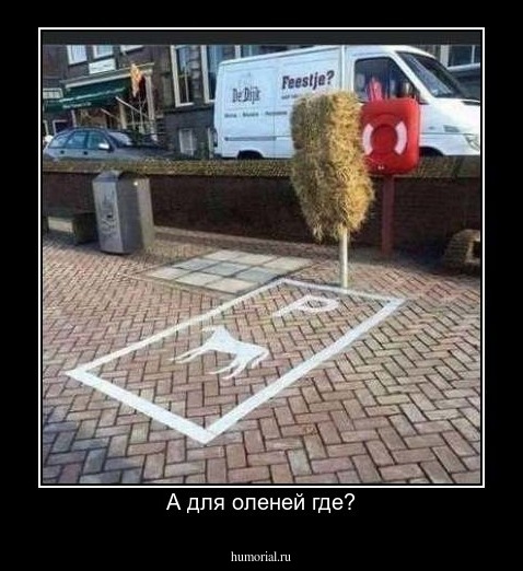 А для оленей где?