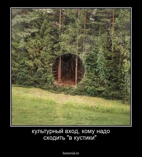 культурный вход, кому надо  сходить "в кустики"