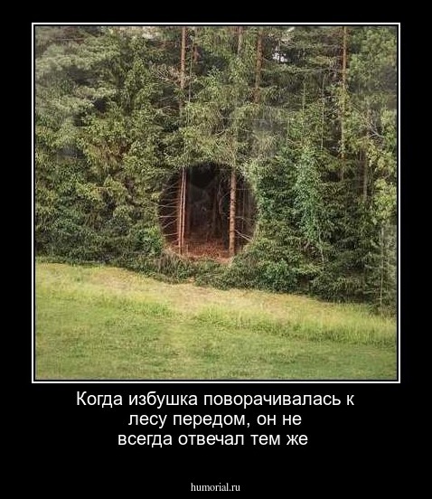 Когда избушка поворачивалась к лесу передом, он не всегда отвечал тем же