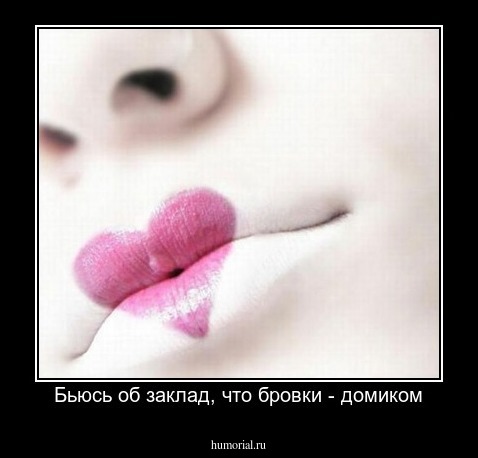 Бьюсь об заклад, что бровки - домиком