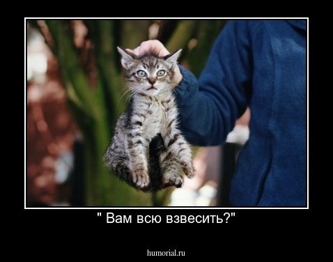" Вам всю взвесить?"