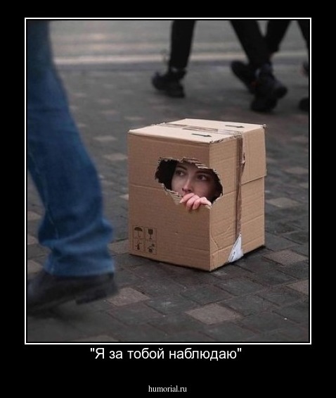"Я за тобой наблюдаю" 