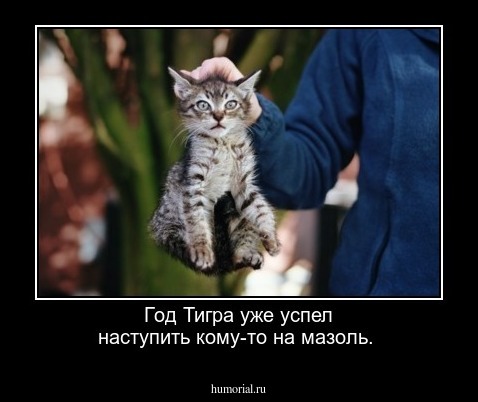 Год Тигра уже успел наступить кому-то на мазоль.