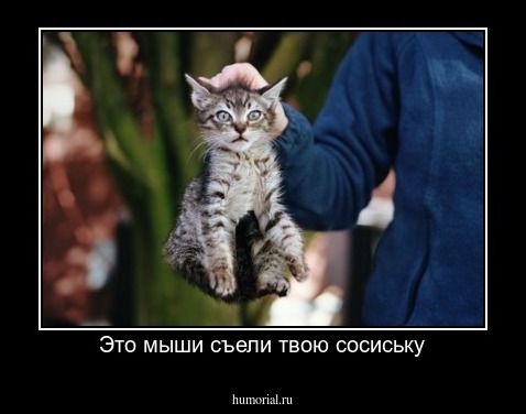 Это мыши съели твою сосиську