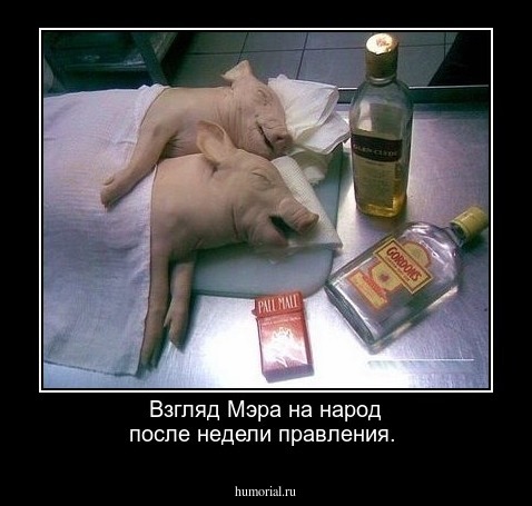 Взгляд Мэра на народ после недели правления.