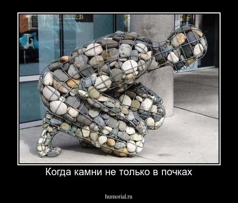 Когда камни не только в почках