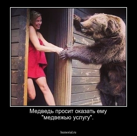 Медведь просит оказать ему "медвежью услугу".