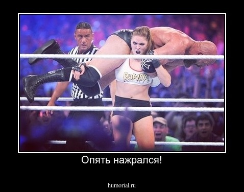 Опять нажрался!