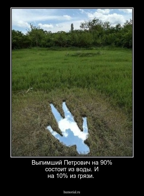 Выпимший Петрович на 90% состоит из воды. И на 10% из грязи.