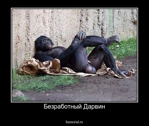 Безработный Дарвин