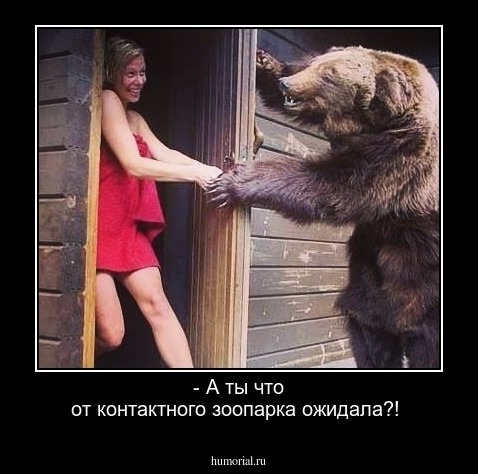 - А ты что от контактного зоопарка ожидала?!