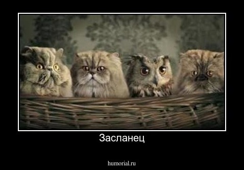 Засланец
