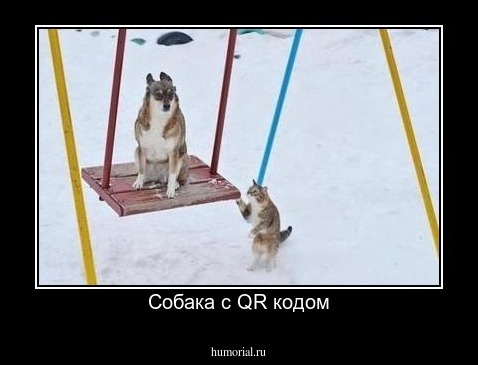 Собака с QR кодом