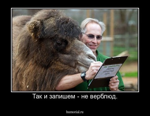 Так и запишем - не верблюд.