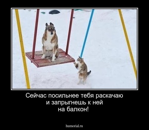 Сейчас посильнее тебя раскачаю и запрыгнешь к ней на балкон!