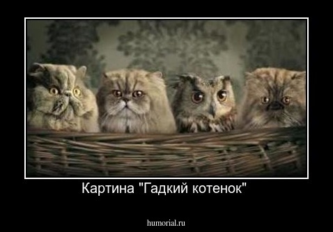 Картина "Гадкий котенок" 