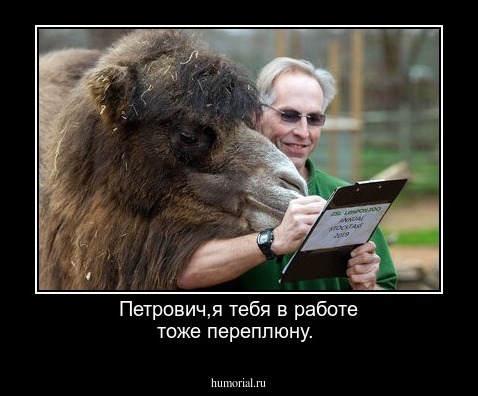  Петрович,я тебя в работе тоже переплюну.
