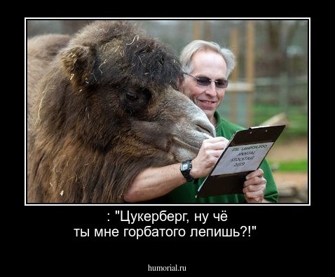 : "Цукерберг, ну чё ты мне горбатого лепишь?!"
