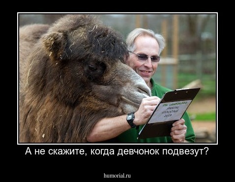 А не скажите, когда девчонок подвезут?