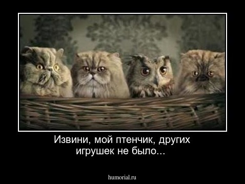 Извини, мой птенчик, других игрушек не было...